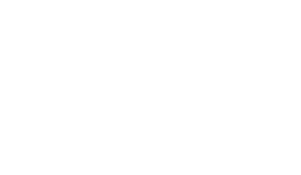 جانبی باریش